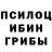 Псилоцибиновые грибы Cubensis NileSings