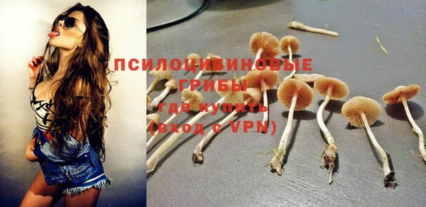 бошки Бородино
