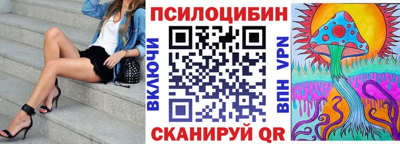 Купить  Кирс  Галлюциногенные грибы Cubensis 